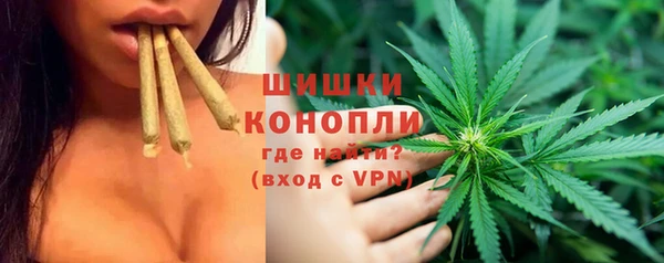 шишки Алексин