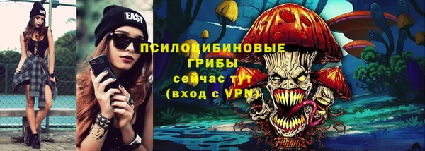 твердый Алзамай