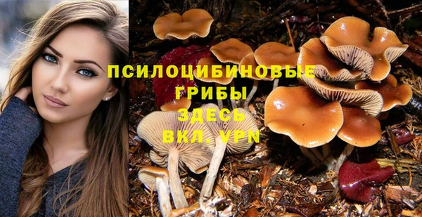 шишки Алексин