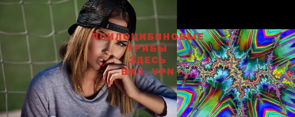 твердый Алзамай