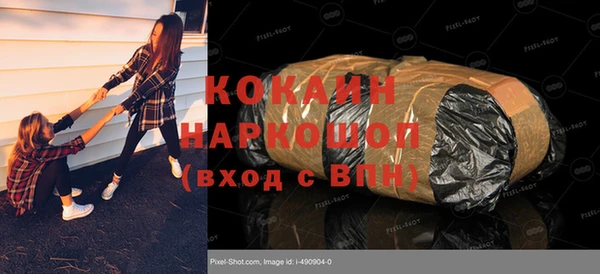 шишки Алексин