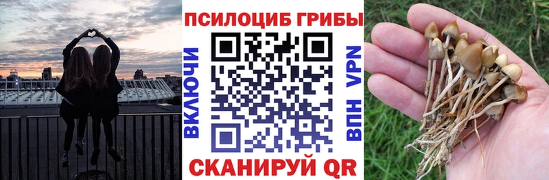 Псилоцибиновые грибы мицелий  Козьмодемьянск 